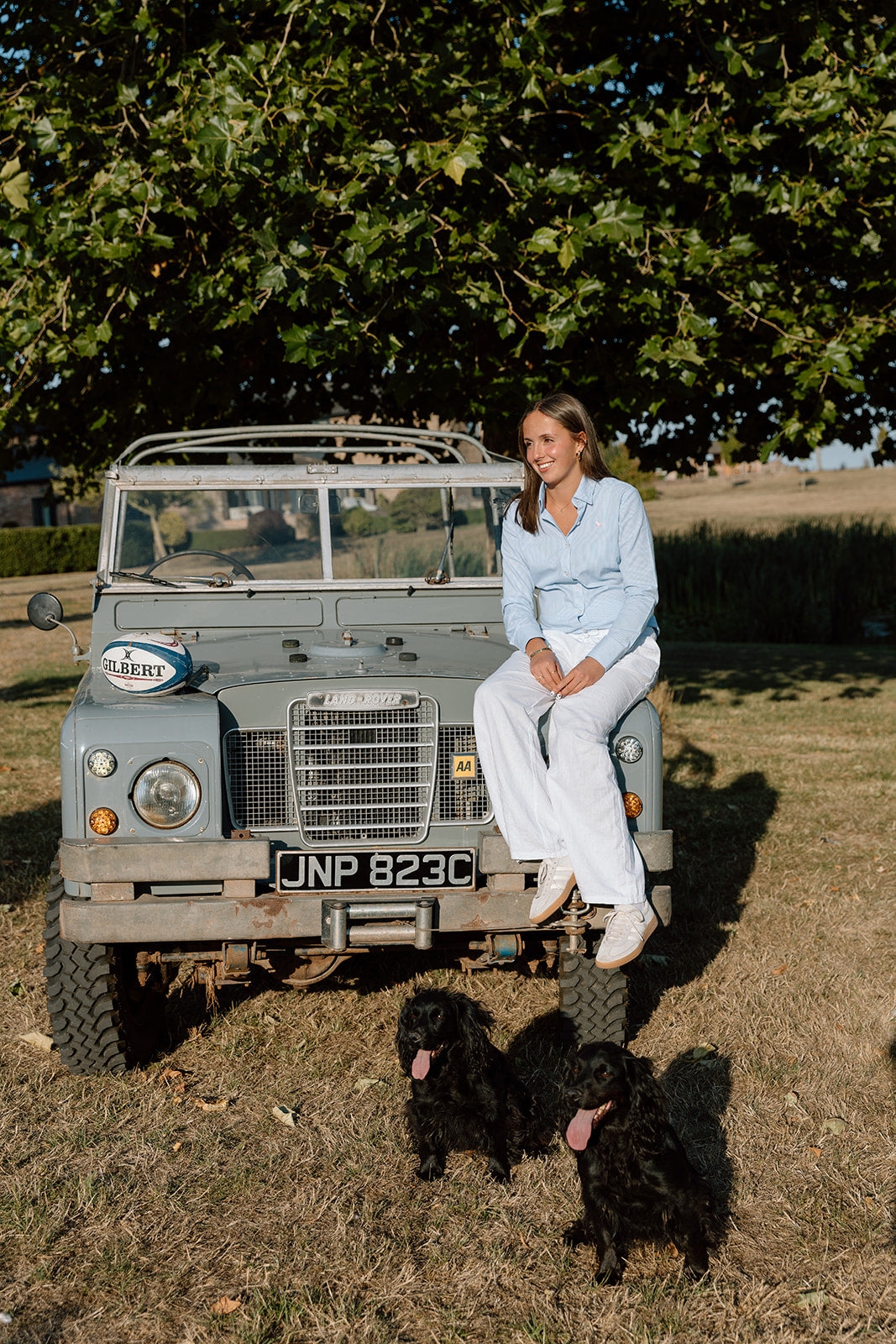 Ledbury Striped Shirt