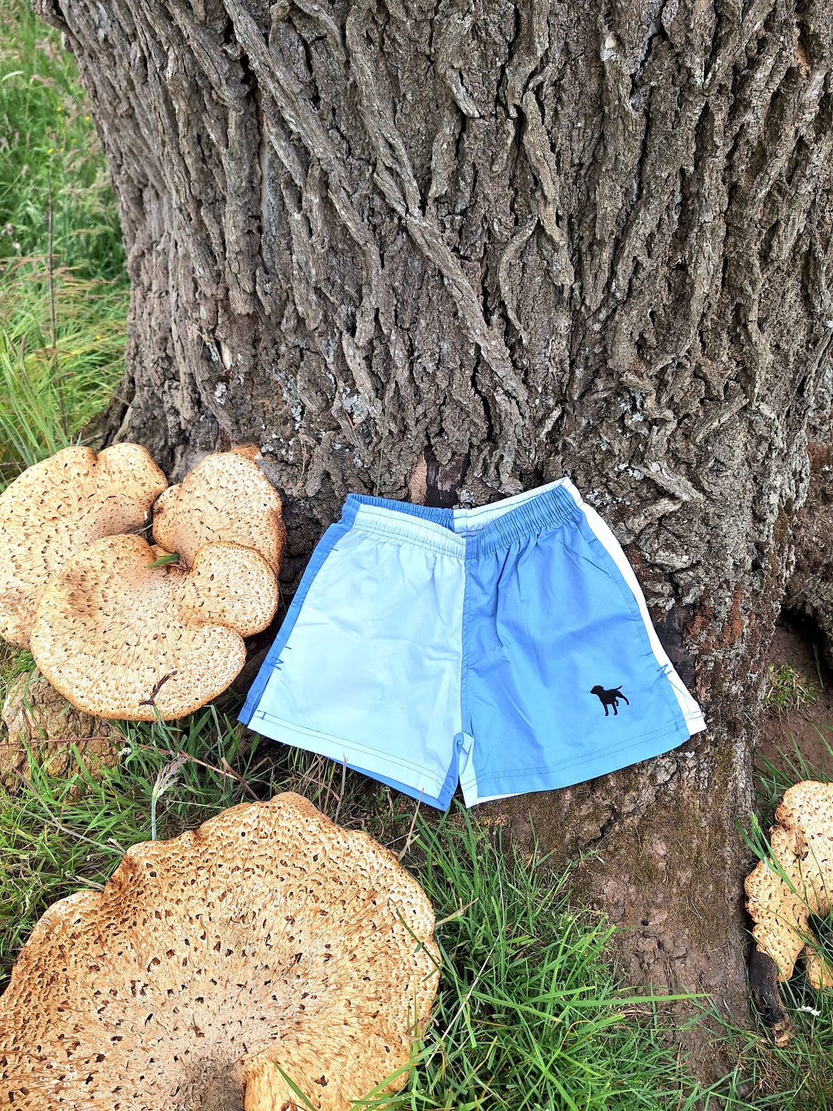 Red And Navy Sellack Shorts